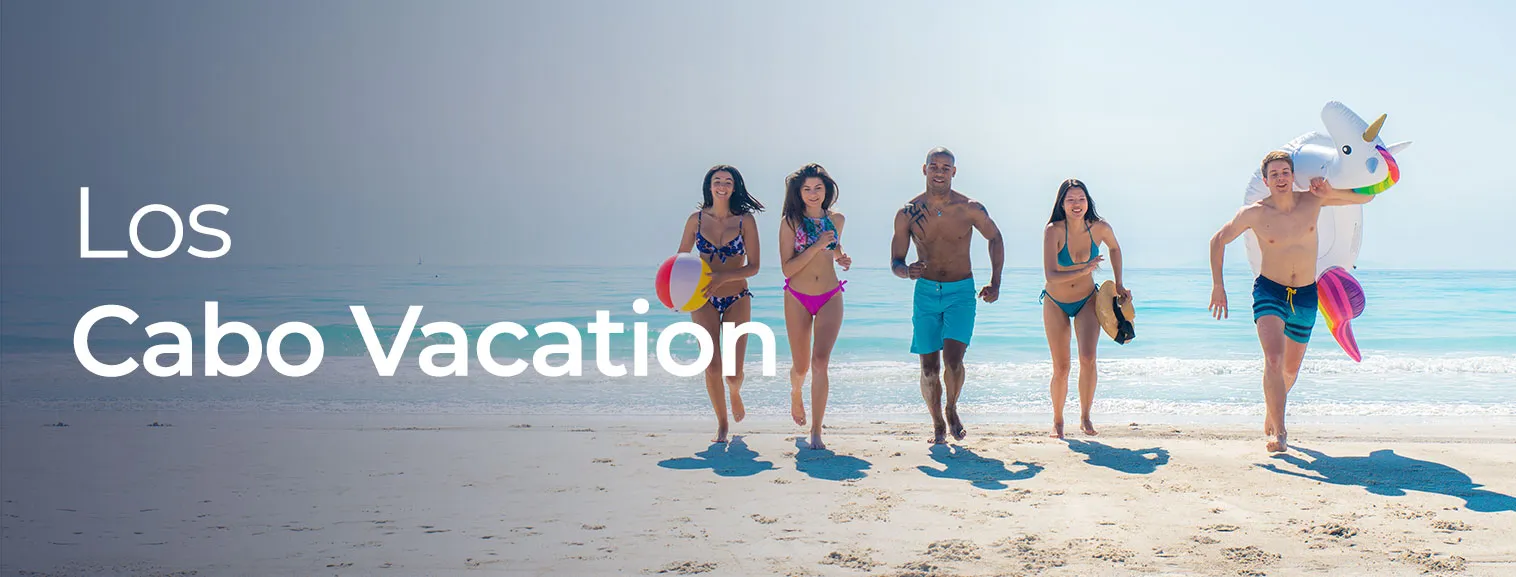 vaction banner
